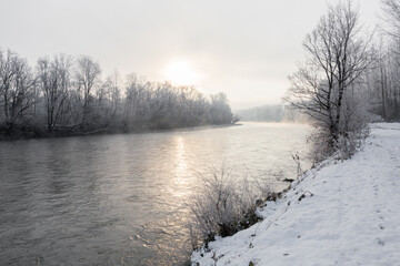 A forest and a river in nature in winter