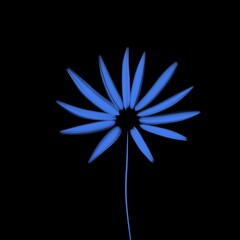 Obraz premium A bright and stylish spring accent: an abstract flower on a black background. The perfect solution for your design!