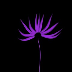 A bright and stylish spring accent: an abstract flower on a black background. The perfect solution for your design!