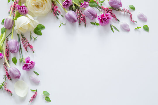 frame of beautiful flowers on white background