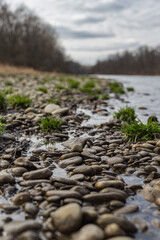 The river Mura with a forest and some stones