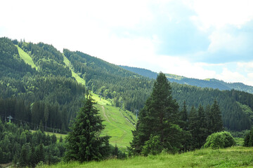 Mountain landscape with green forest in Carpathians, Ukraine