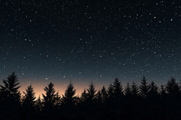 A night sky filled with stars above a silhouetted forest