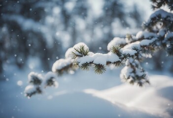Obraz premium Winter Morning Scene with Snow and Fir Branch