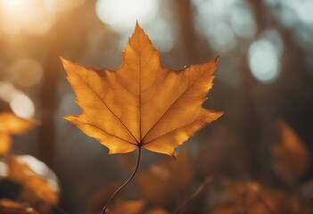 Autumn Leaf Closeup in Nature with Trees