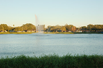 Fototapeta premium Jorgensen Lake Park Fountain in St. Petersburg, Florida late afternoon wide view. Green grass in foreground with water shooting up from fountain. Bird in mid air over the water fountain spray.