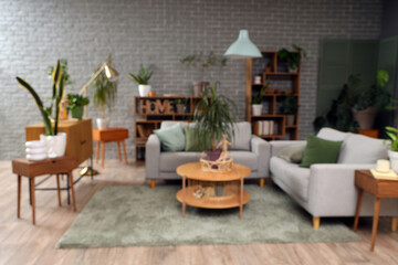 Blurred view of living room with plants, sofas and tables