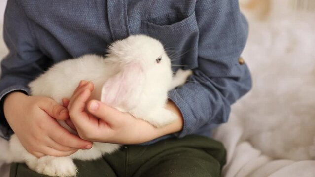 White Easter rabbit sits on the hands of a little boy, who huggs the rabbit