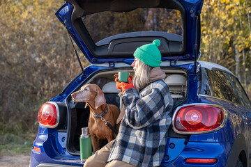 Woman pet owner enjoying drinking tea sitting in car trunk with dog admiring nature in forest on...