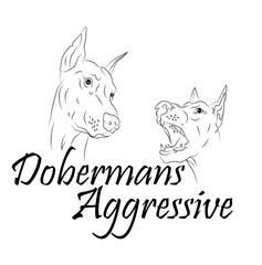 Dogs on a white background