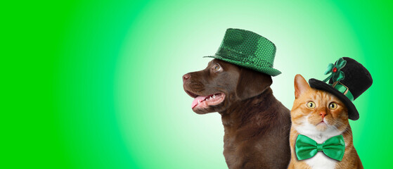 St. Patrick's day celebration. Cute dog and cat in leprechaun hats on green background. Banner...