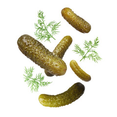 Tasty pickled cucumbers and dill falling on white background