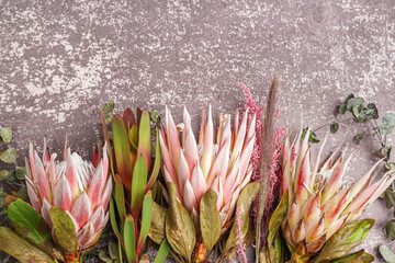Beautiful pink protea flowers on grunge background