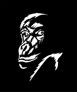 monkey looks out from under his forehead