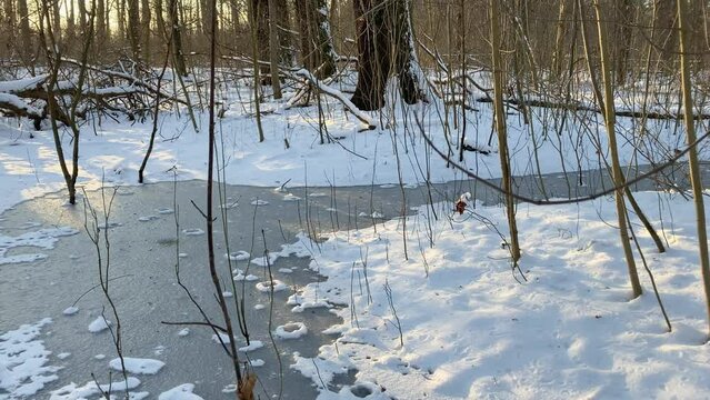 Winter landscape forest, frozen small river covered with snow