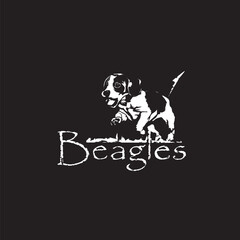 Beagle puppy on a black background