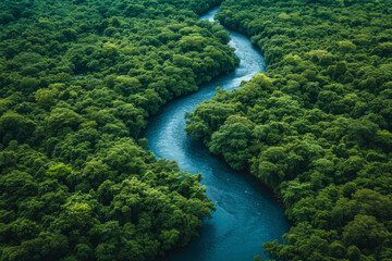 Naklejka na ściany i meble Overhead view of a meandering river in a tropical forest, illustrating nature's intricate pathways. Concept of natural watercourses and jungle landscapes. Generative Ai.