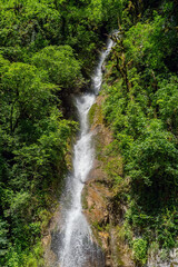 Enchanting Cascades: A Majestic Waterfall Embraced by a Lush Forest