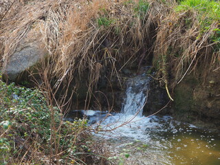 waterfall in the field of vivid colors