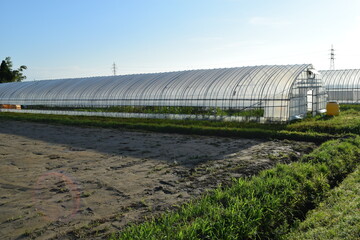 田園の中のビニールハウス