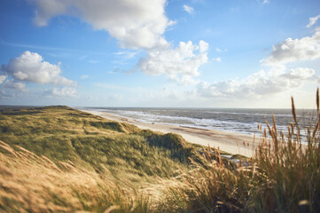 Overlooking dunes at danish coastline. High quality photo - 730431913