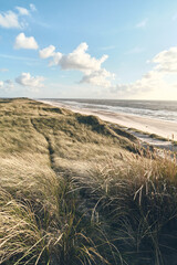 Scenic view over dunes at danish coast. High quality photo - 730432307