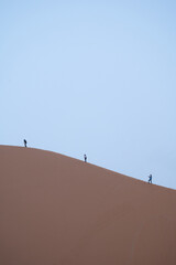 sand dunes in the desert - 730433315