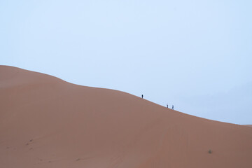 sand dunes in the desert - 730433318