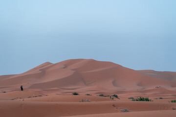 Fototapeta na wymiar dunes in the desert of morocco