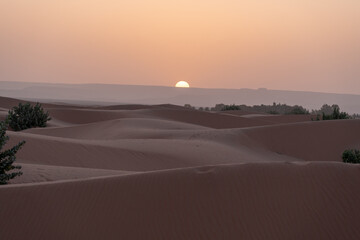 sunset in the desert - 730433330