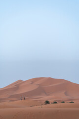 dunes in the desert of morocco - 730433331