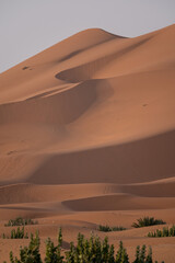 dunes in the desert of morocco - 730433334