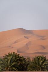 dunes in the desert of morocco - 730433335