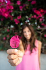 girl with pink rose - 730433377
