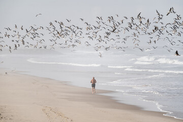 man running on the beach - 730433389