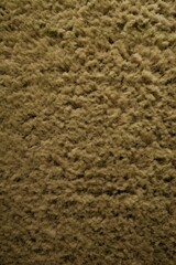 Khaki plush carpet