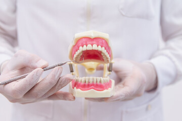 Gloved hands of a dentist holding an artificial denture, pointing his work tool at the tooth.