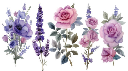 Watercolor bouquet of roses and lavender flowers isolated transparent background. PNG Format.