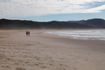 Holidaymakers swimming and walking on the beach in Spirits Bay, Northland, New Zealand.