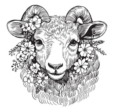 Vector sheep with flowers