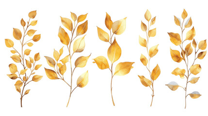 Fototapeta na wymiar Watercolor set of branches with golden leaves isolated transparent background. PNG Format.