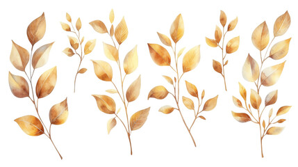 Watercolor set of branches with golden leaves isolated transparent background. PNG Format.