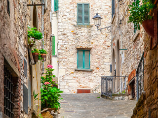 Fototapeta na wymiar Old medieval street with flowers at stone houses in Tuscan town