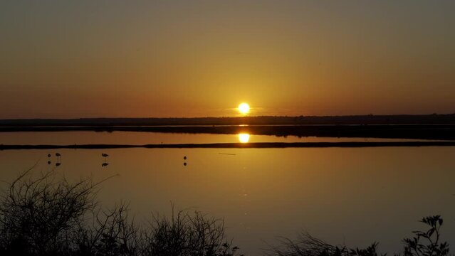 Atardecer en las Marismas de Odiel, Huelva, Andaluc&iacute;a, Espa&ntilde;a. Febrero de 2024.