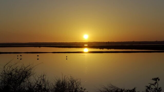 Atardecer en las Marismas de Odiel en Huelva, Andaluc&iacute;a, Espa&ntilde;a. Febrero 2024.