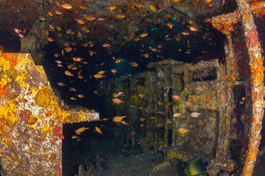 Inside The Control Room Of HMAS Brisbane Wreck