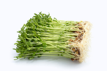 Pea Sprouts on white background.