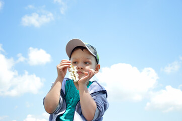a boy with an acacia inflorescence in his hands against a background of blue sky with white clouds....