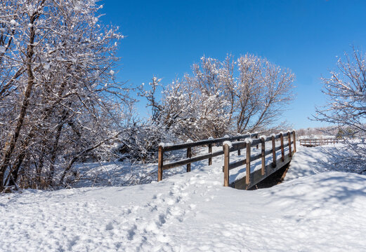 Snow Covered Wooden Footbridge with Frosty Trees and Clear Blue Sky