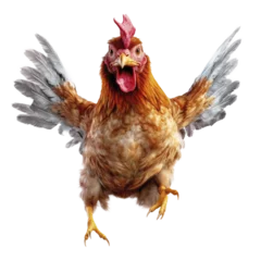 Draagtas cute chicken jumps and laughs on isolated transparent background © Emre